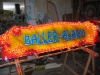 Balleralarm 6